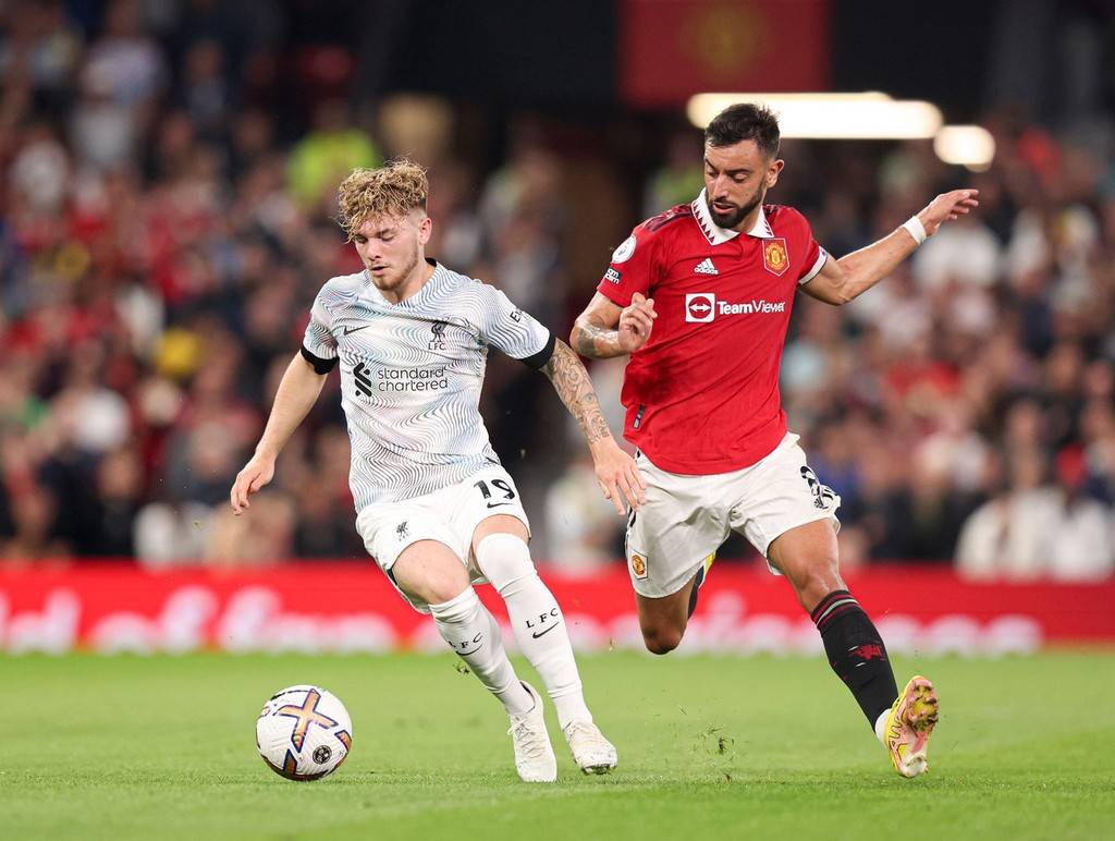 不仅引入了 不仅引入了