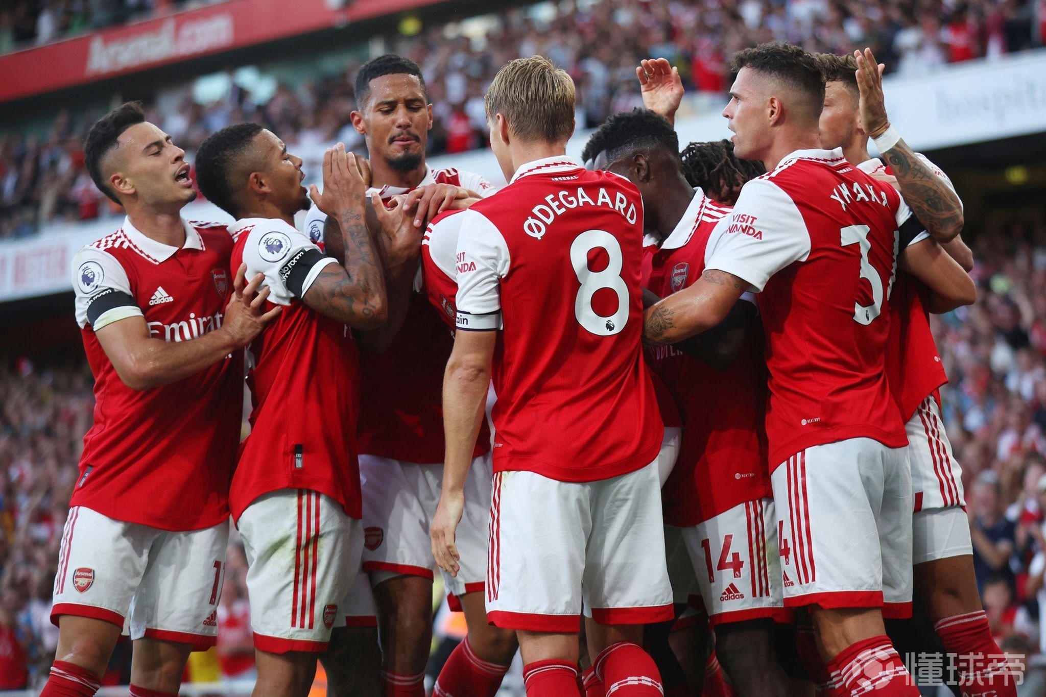 解析波兰如 解析波兰如